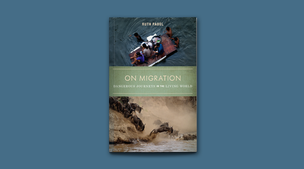 On Migration