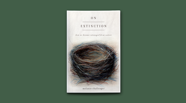 On Extinction